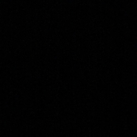 Meet your Posher, Bryson - Picture 1 of 1